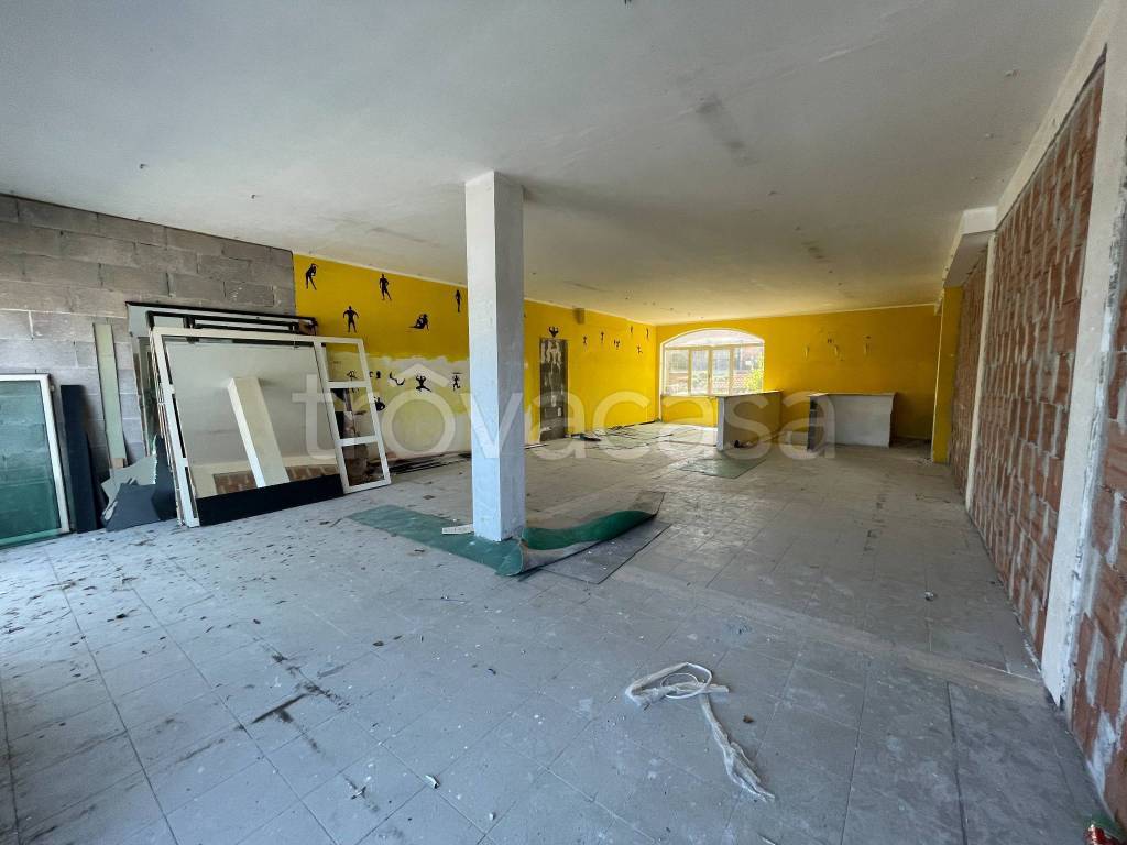 immagine annuncio 6 di 14