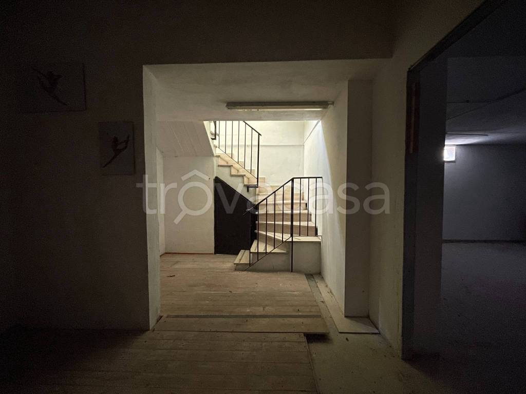 immagine annuncio 11 di 14