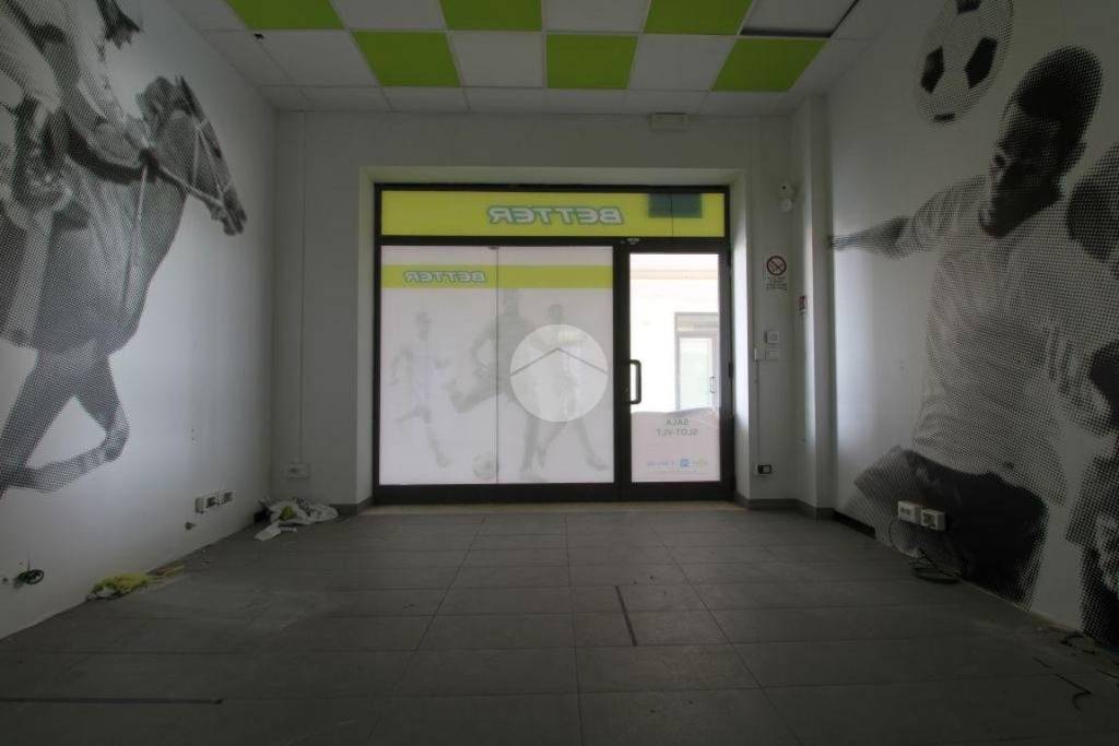 immagine annuncio 5 di 11