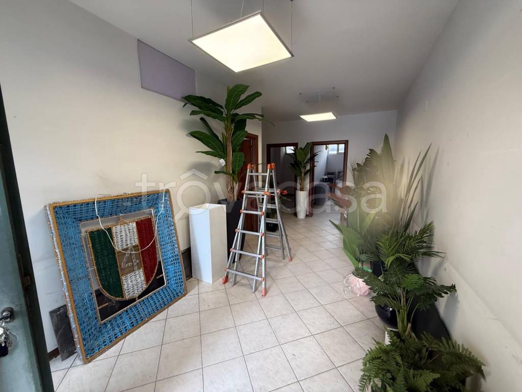 immagine annuncio 2 di 8