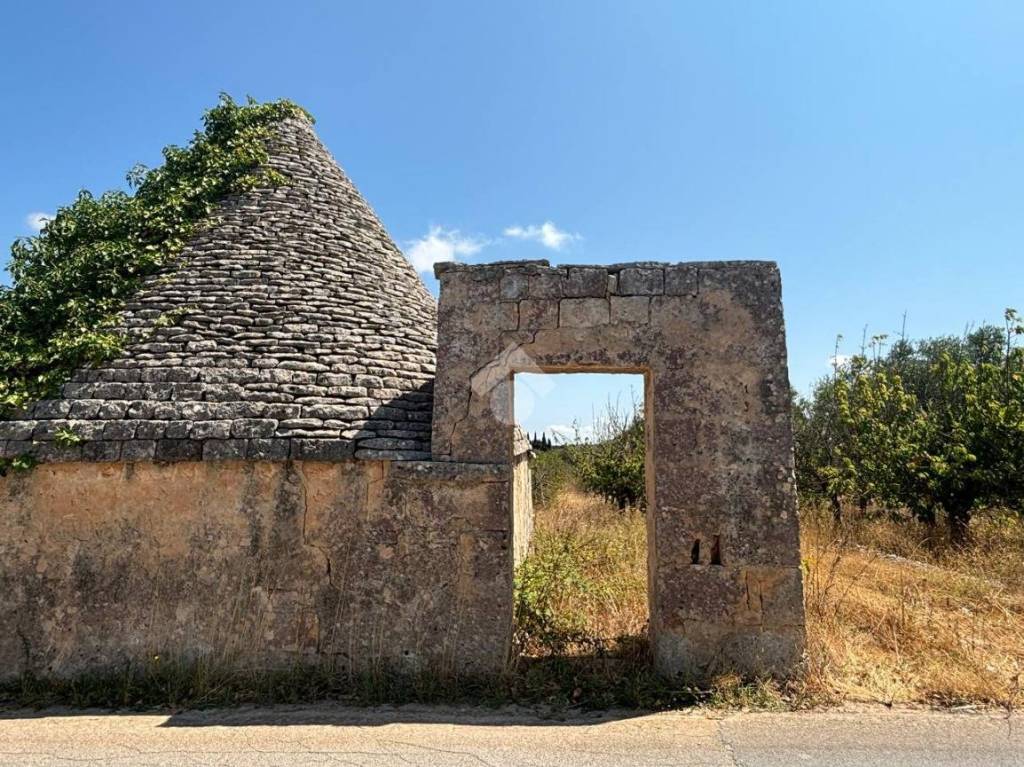 immagine annuncio 3 di 14