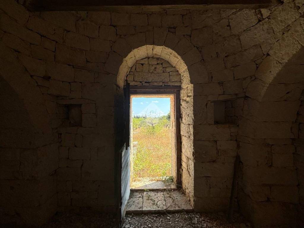 immagine annuncio 10 di 14