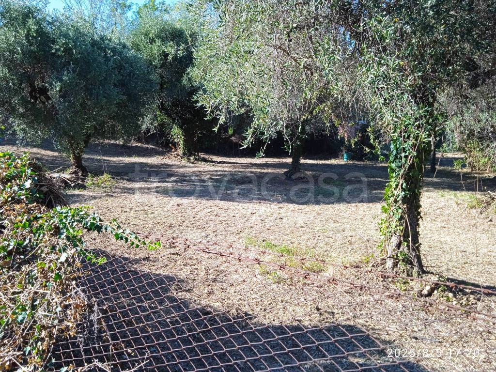 immagine annuncio 6 di 13