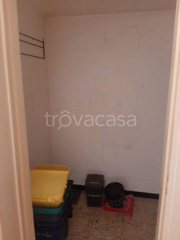 immagine annuncio 9 di 14