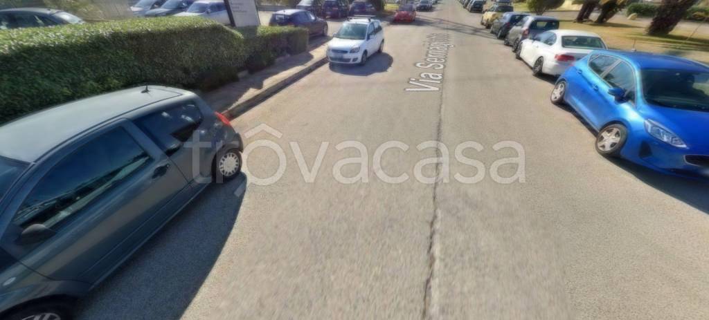 immagine annuncio 5 di 14