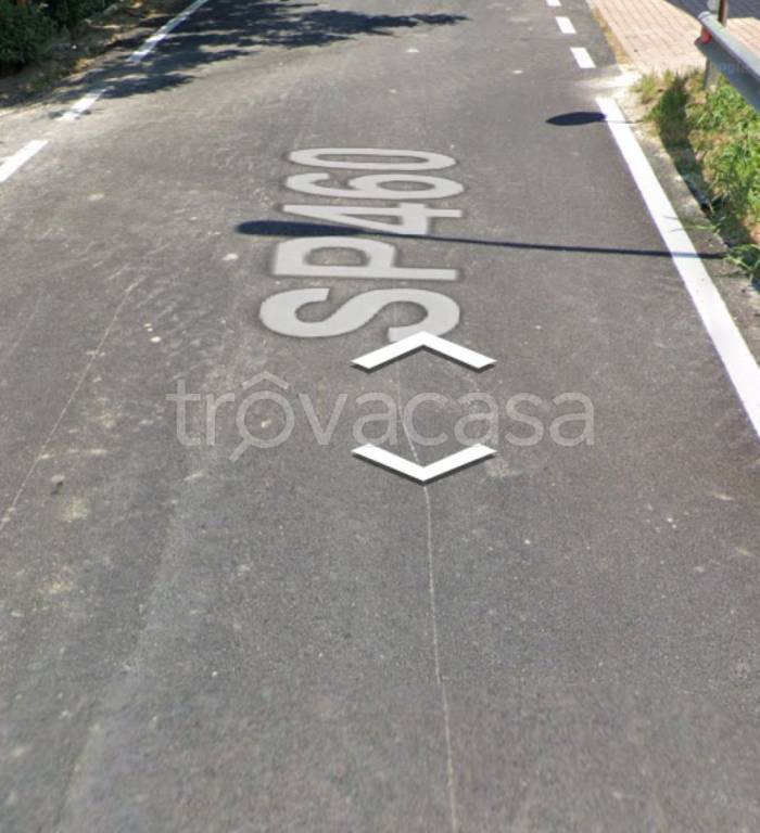 immagine annuncio 10 di 14