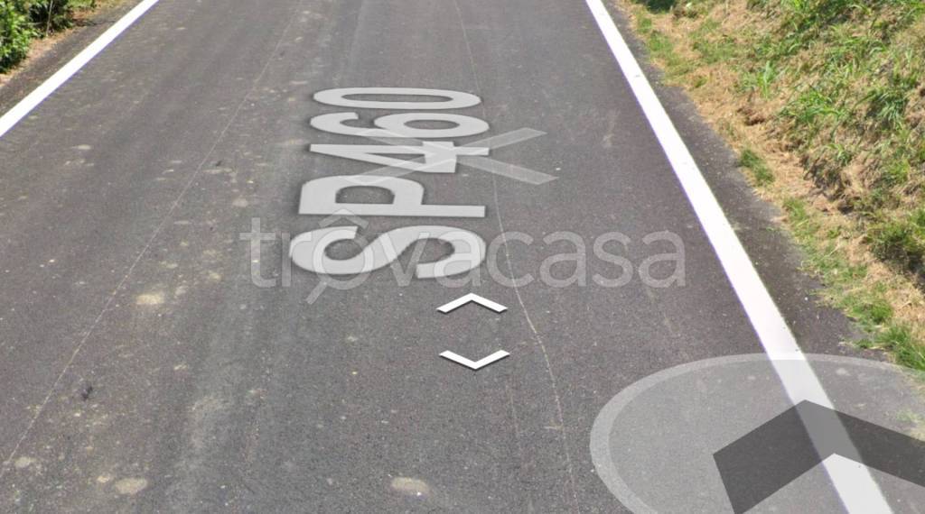 immagine annuncio 11 di 14