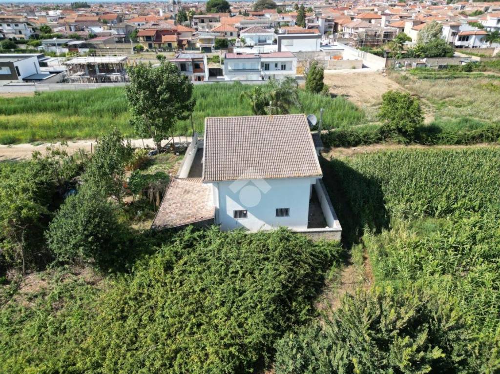 immagine annuncio 5 di 11