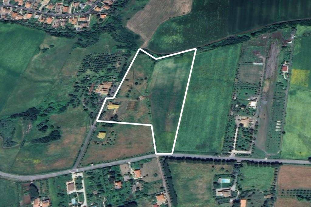 immagine annuncio 4 di 13