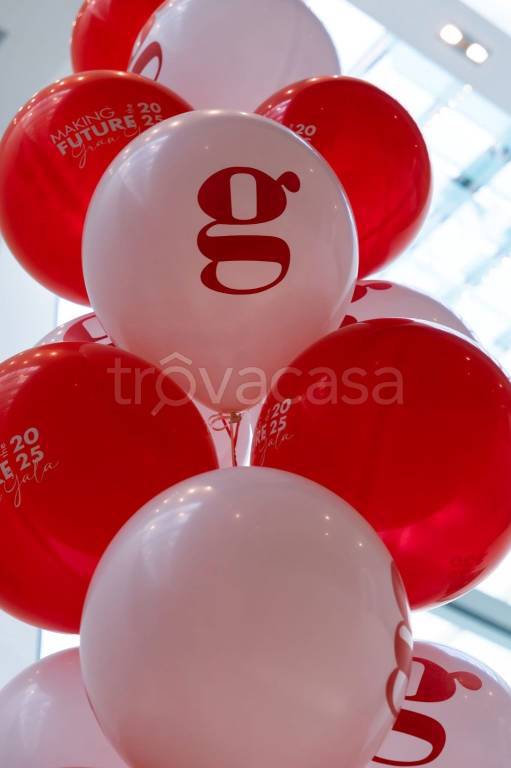 immagine annuncio 12 di 13