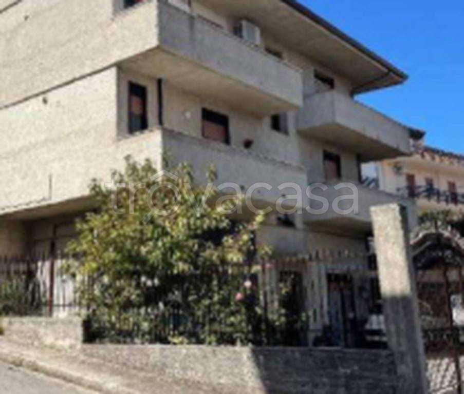 immagine annuncio 12 di 13
