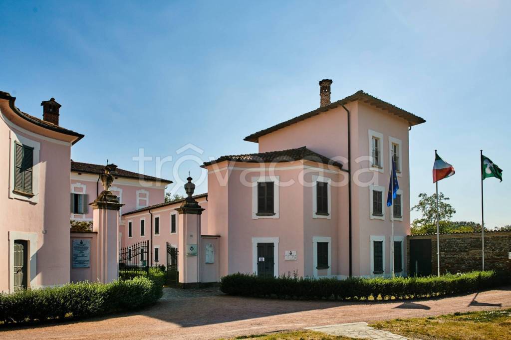 immagine annuncio 12 di 15