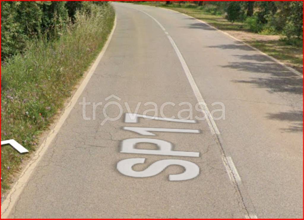 immagine annuncio 2 di 12