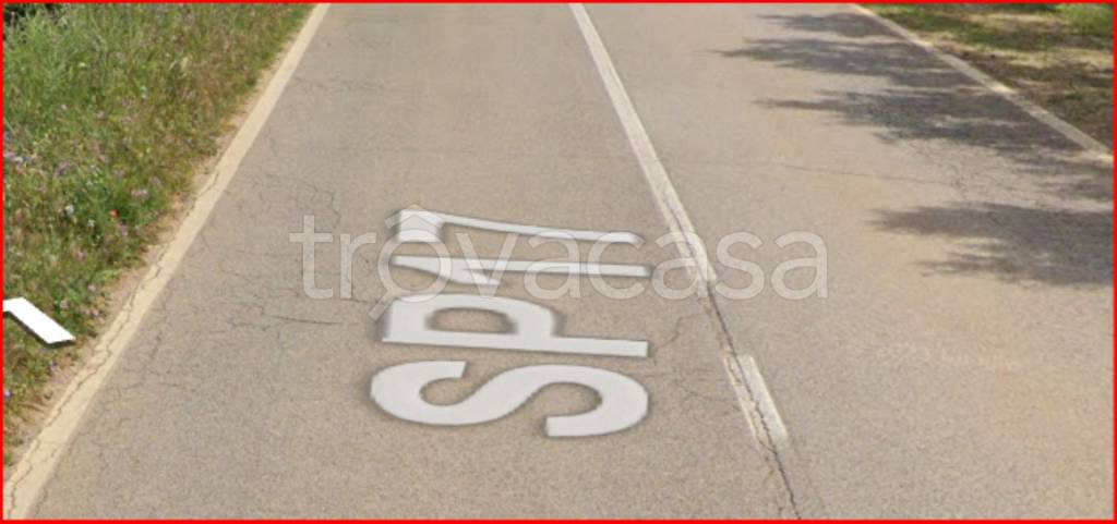 immagine annuncio 9 di 12