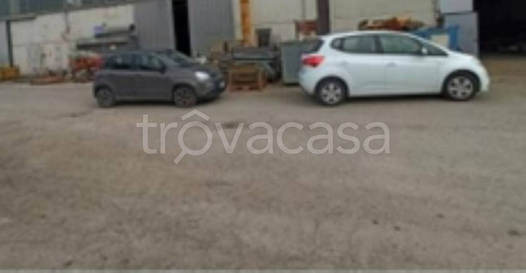 immagine annuncio 5 di 11