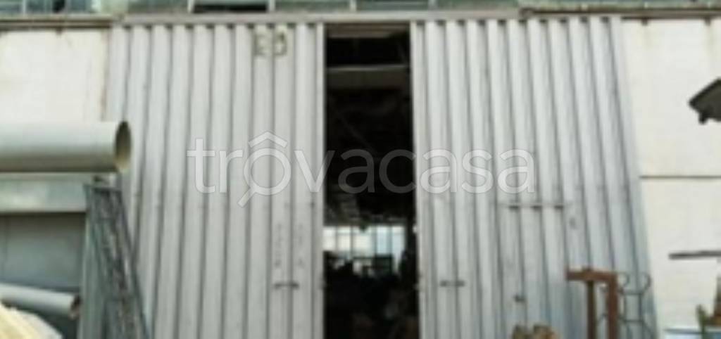 immagine annuncio 8 di 11