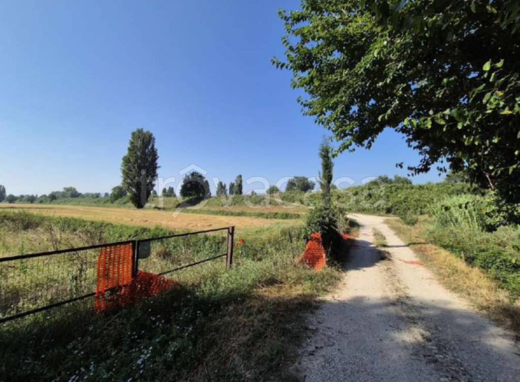 immagine annuncio 10 di 11
