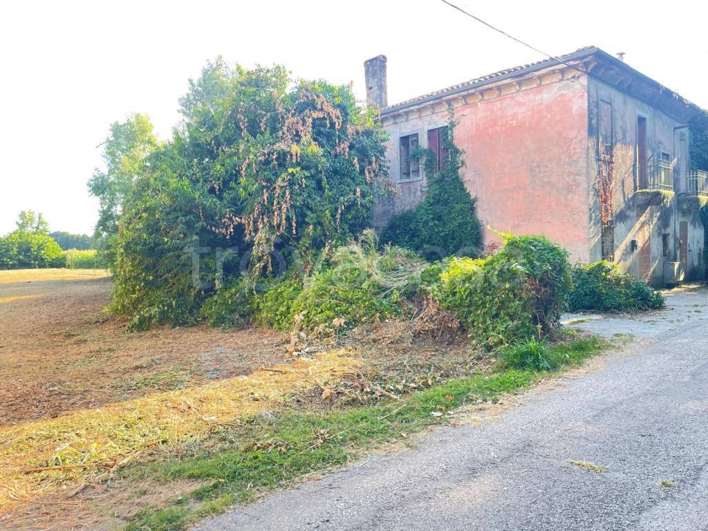 immagine annuncio 1 di 3