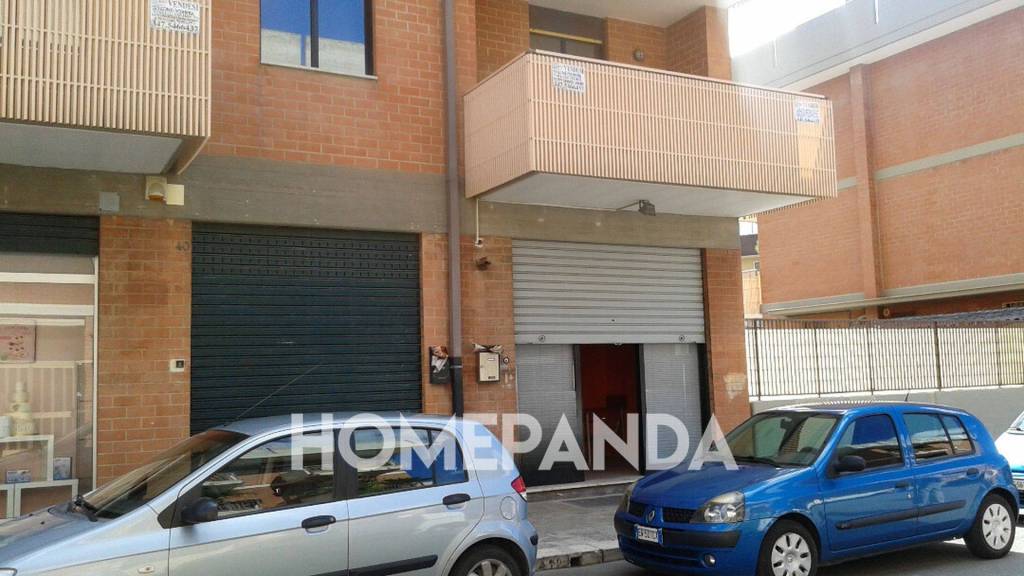 immagine annuncio 1 di 14