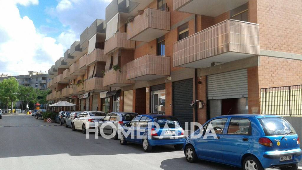 immagine annuncio 2 di 14