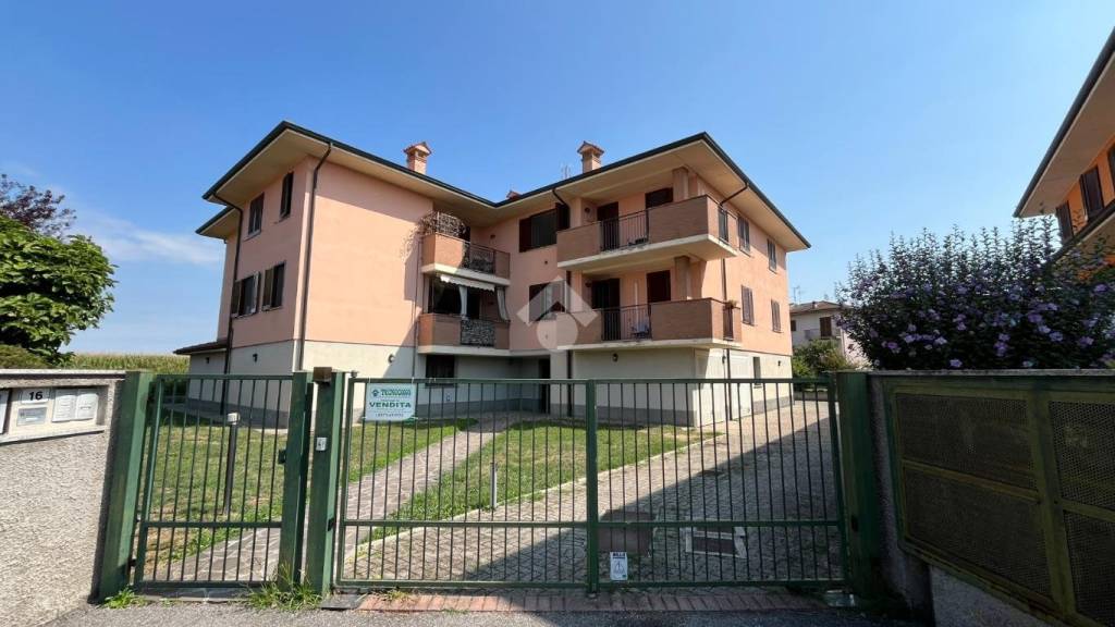 immagine annuncio 1 di 15