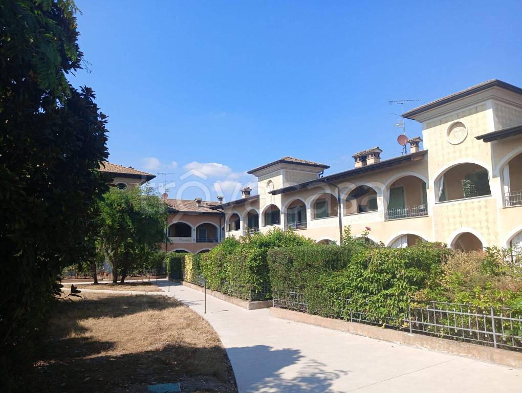 immagine annuncio 7 di 15