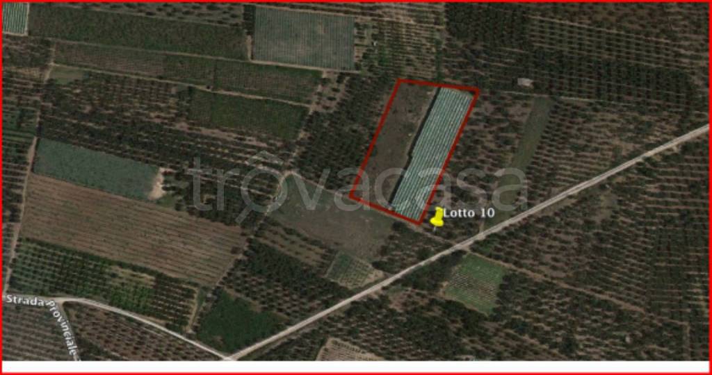 immagine annuncio 11 di 12