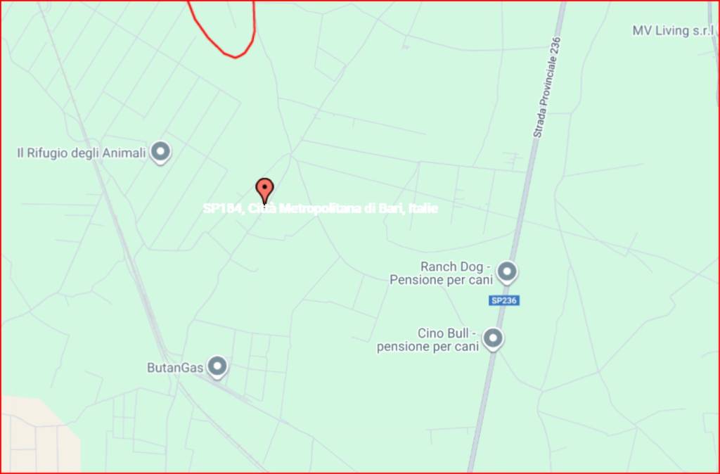 immagine annuncio 10 di 12