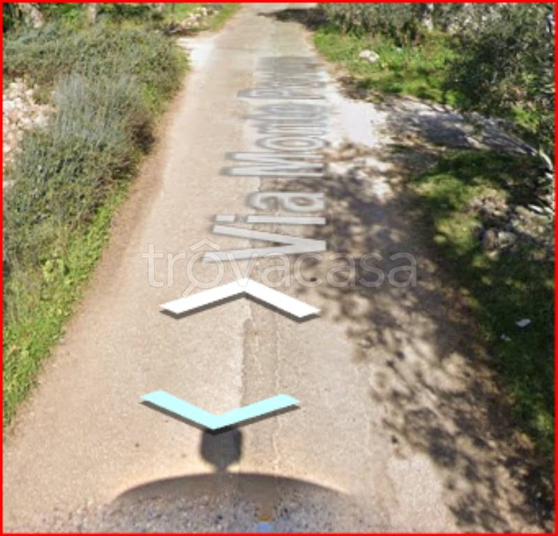 immagine annuncio 8 di 12