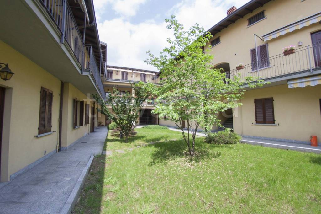 immagine annuncio 9 di 11