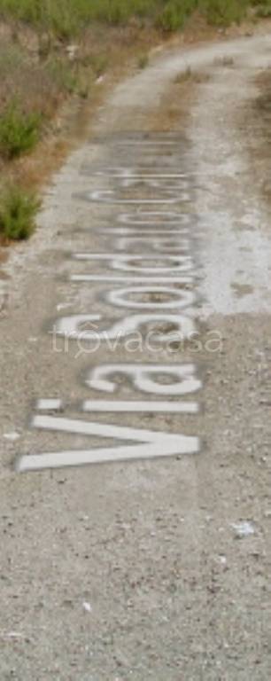 immagine annuncio 5 di 12