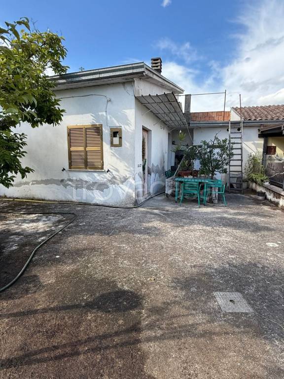 immagine annuncio 3 di 11