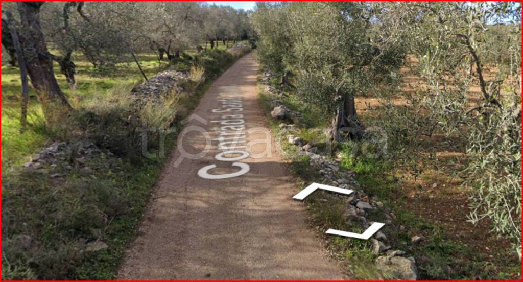 immagine annuncio 4 di 12