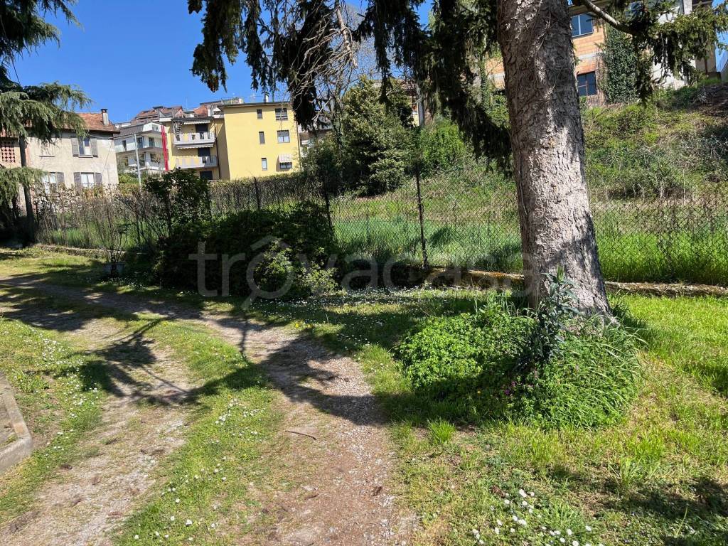 immagine annuncio 4 di 12