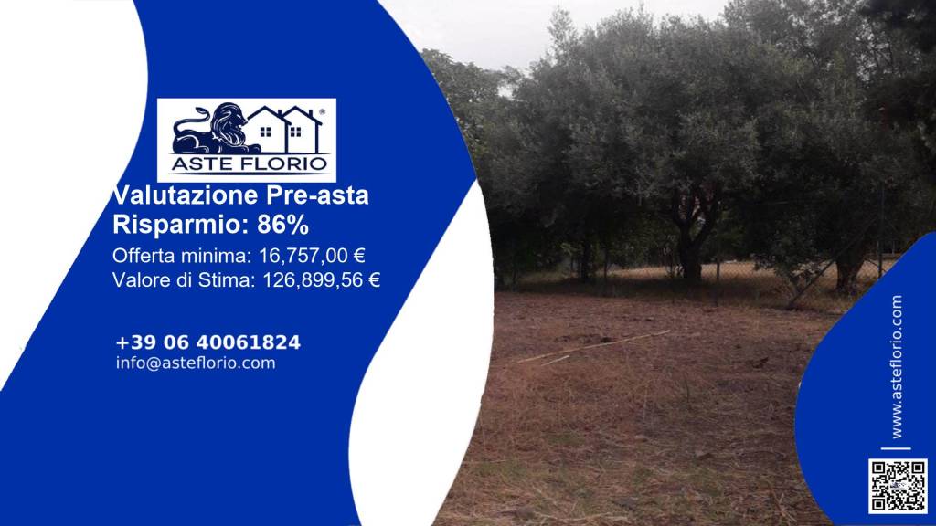 immagine annuncio 10 di 11