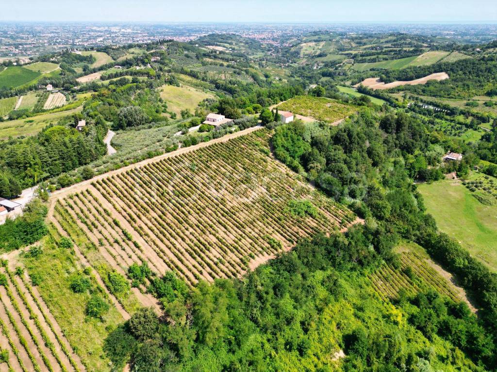 immagine annuncio 12 di 14