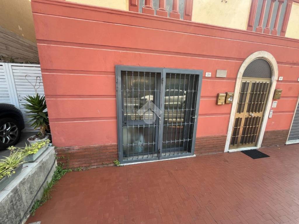 immagine annuncio 10 di 12