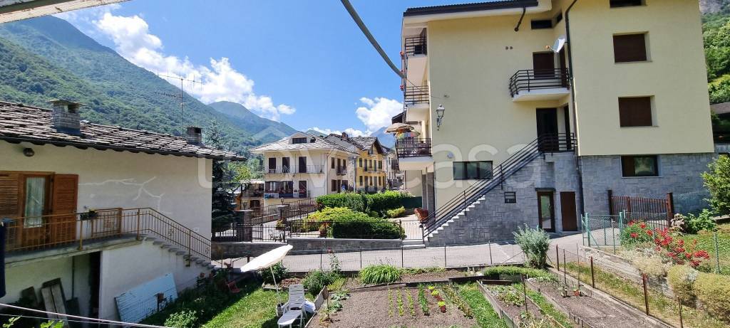 immagine annuncio 5 di 7