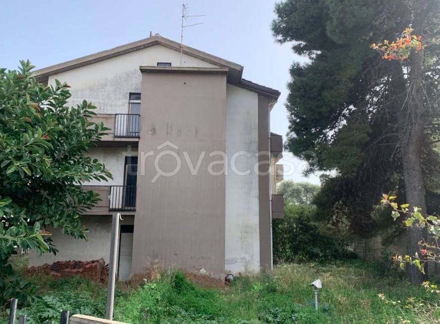 immagine annuncio 7 di 12