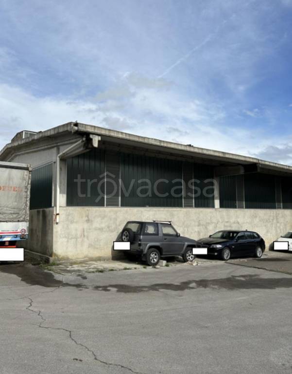 immagine annuncio 7 di 13