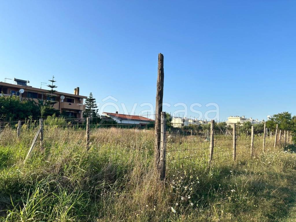 immagine annuncio 3 di 11