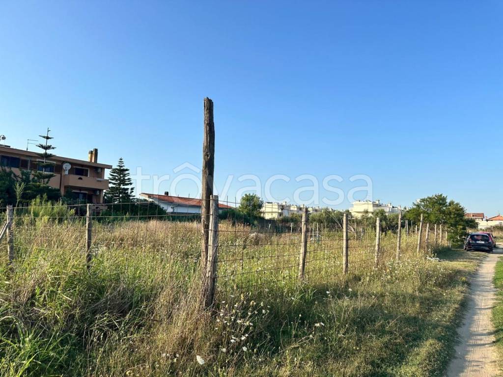 immagine annuncio 5 di 11