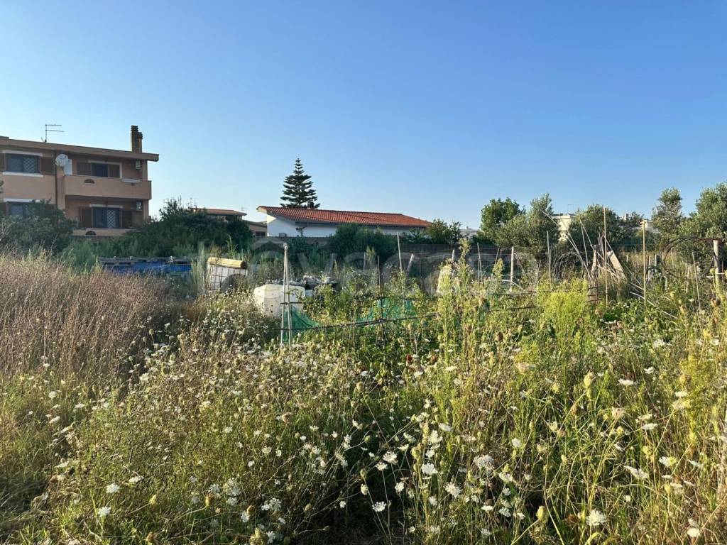 immagine annuncio 7 di 11