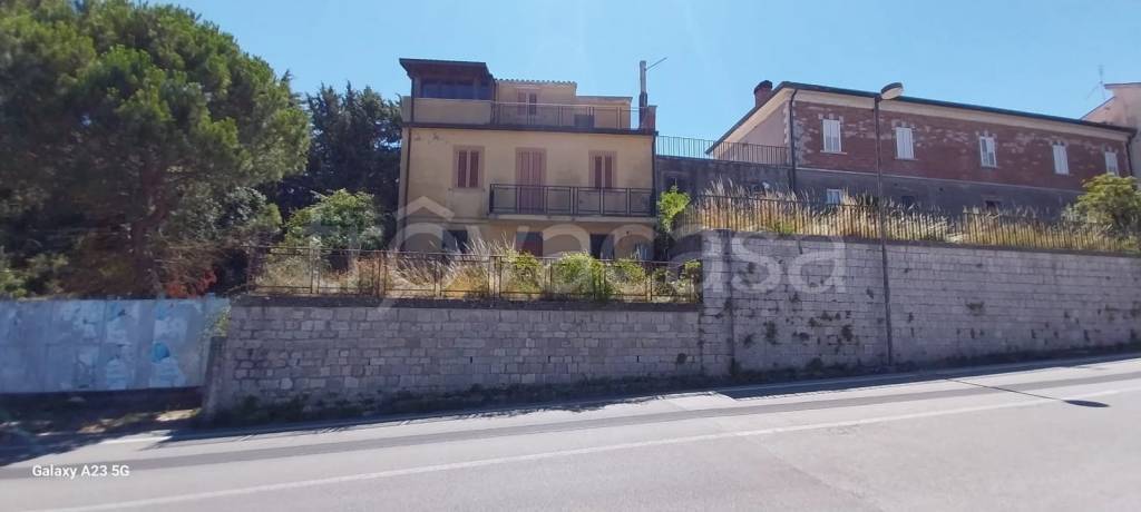 immagine annuncio 5 di 12
