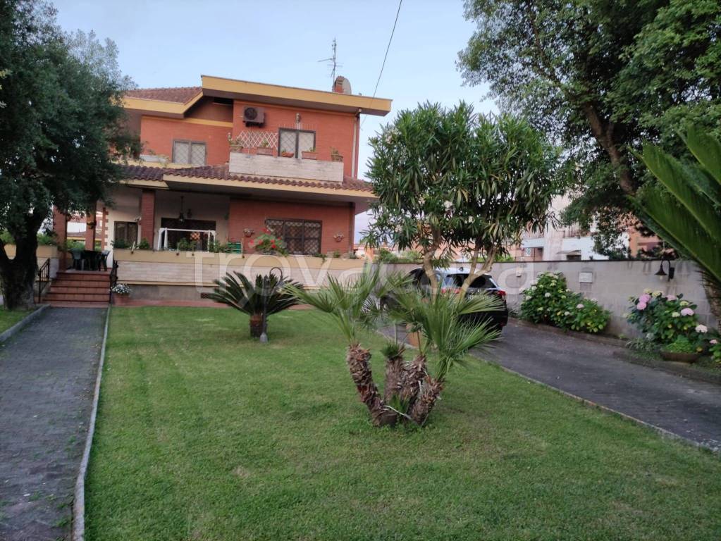 immagine annuncio 9 di 12