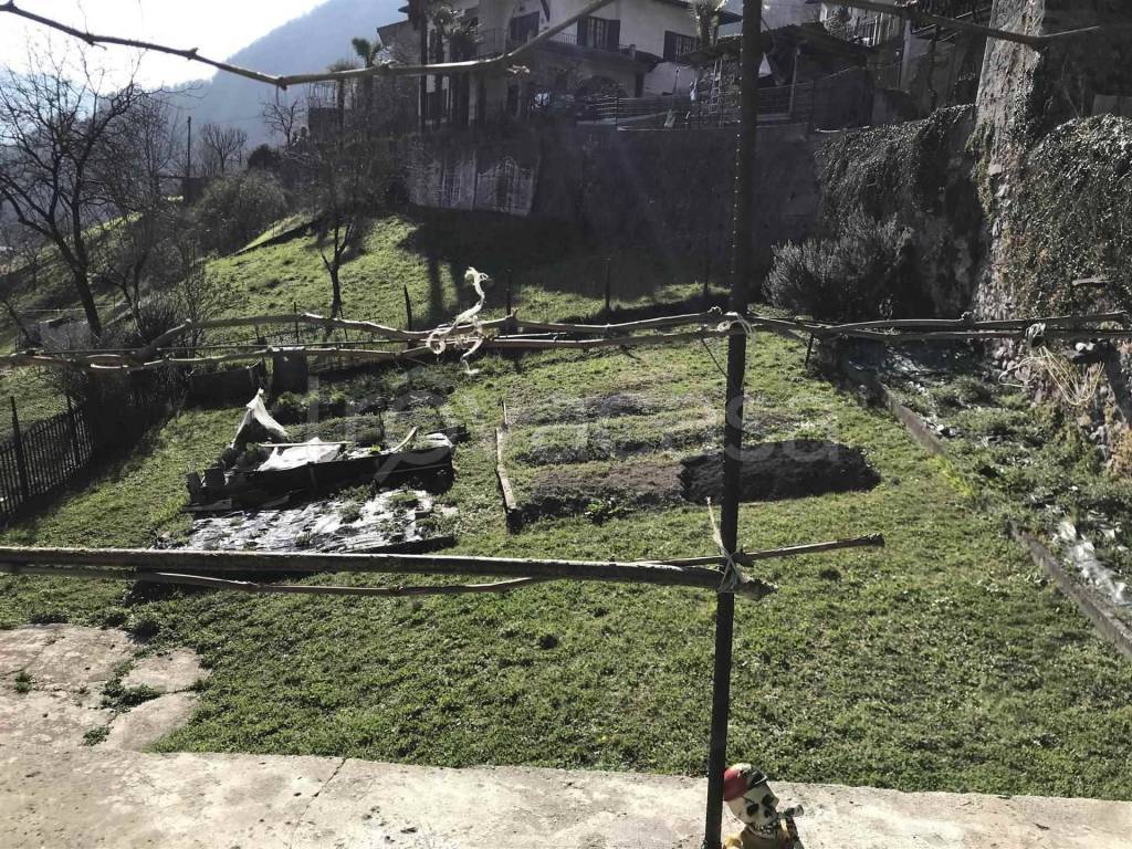 immagine annuncio 2 di 12