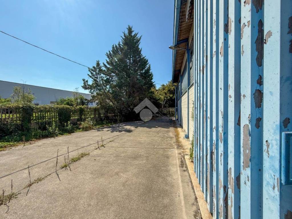 immagine annuncio 10 di 15