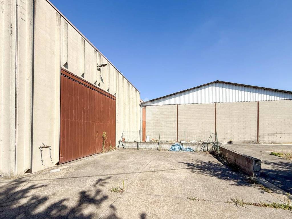 immagine annuncio 14 di 15