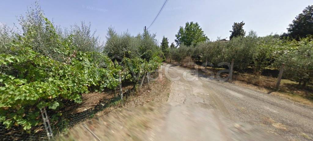 immagine annuncio 11 di 14