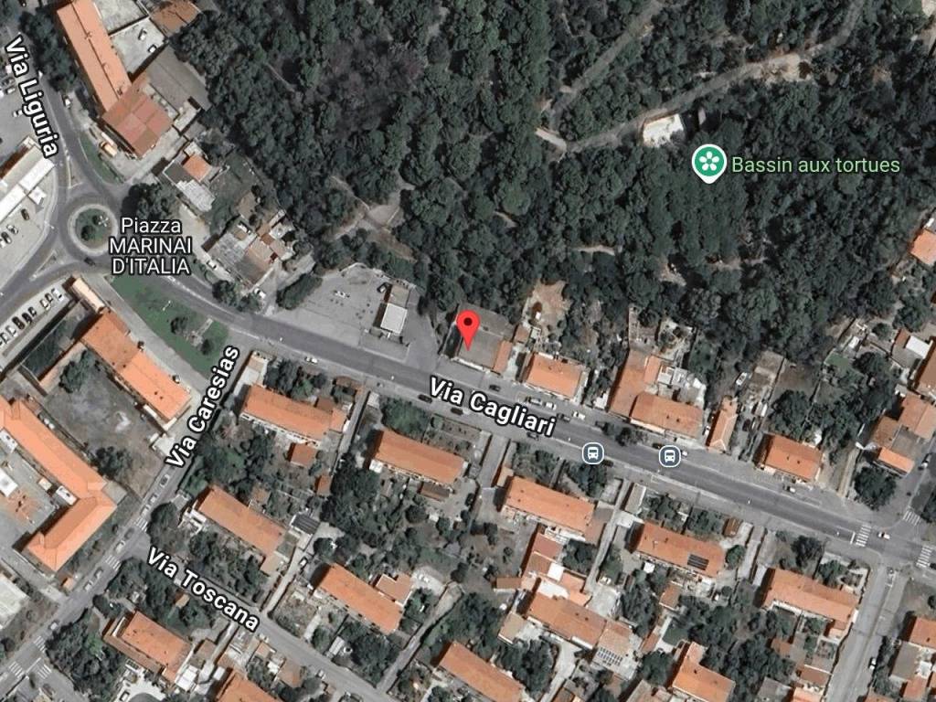 immagine annuncio 1 di 11